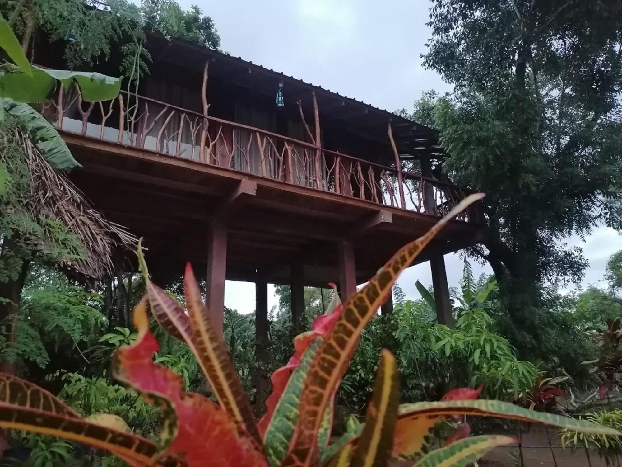 Villa Sigiriya Rock View Tree House Exterior foto
