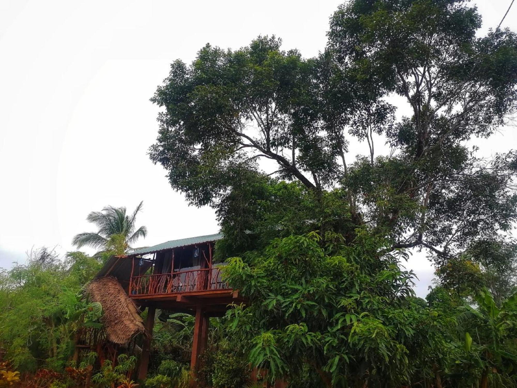 Villa Sigiriya Rock View Tree House Exterior foto